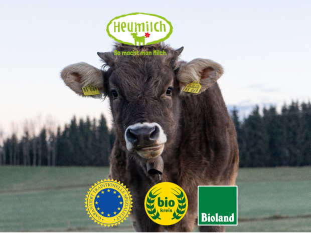 Heumilch ist WELTKLASSE